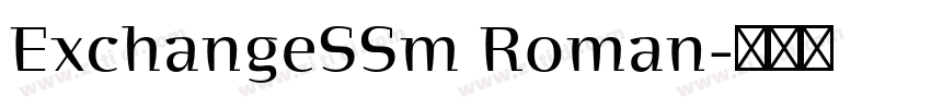 ExchangeSSm Roman字体转换 ExchangeSSm Roman字体转换